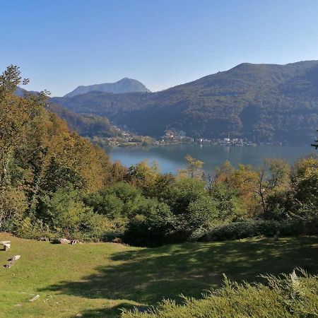 La Finestra Sul Lago Bed and Breakfast Brusimpiano Exterior foto