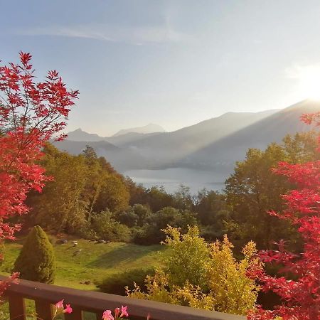 La Finestra Sul Lago Bed and Breakfast Brusimpiano Exterior foto