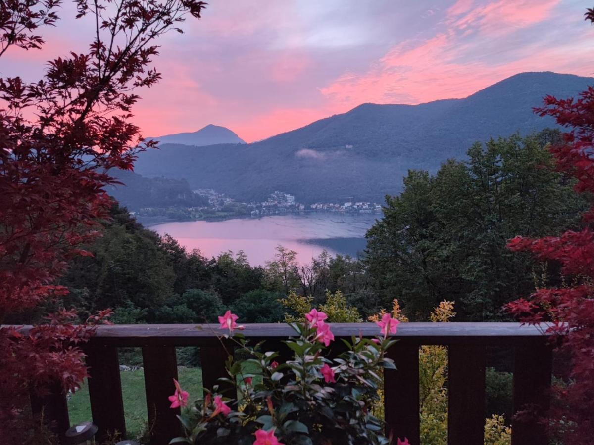 La Finestra Sul Lago Bed and Breakfast Brusimpiano Exterior foto