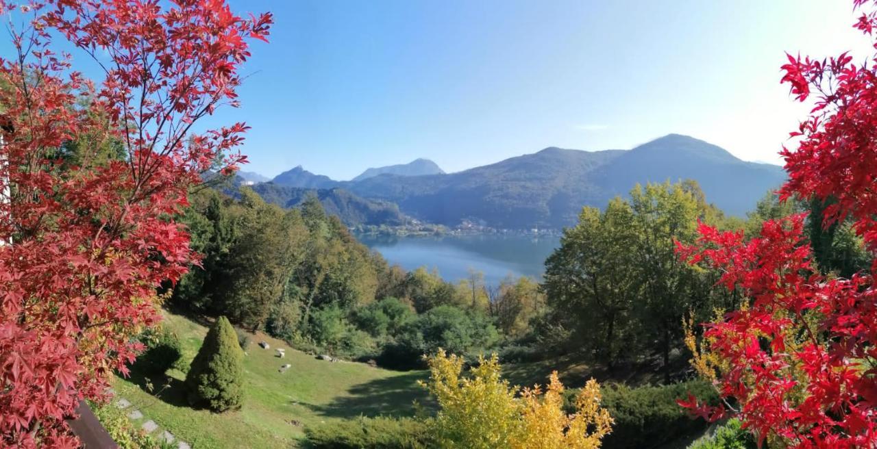 La Finestra Sul Lago Bed and Breakfast Brusimpiano Exterior foto