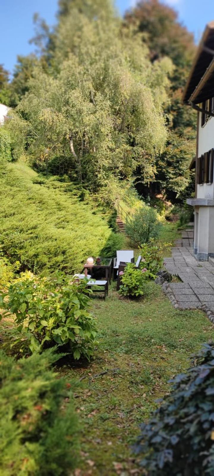 La Finestra Sul Lago Bed and Breakfast Brusimpiano Exterior foto