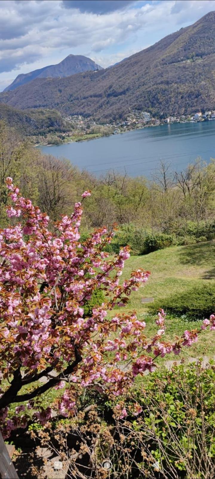 La Finestra Sul Lago Bed and Breakfast Brusimpiano Exterior foto